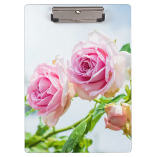 Carpeta De Pinza Flores rosa rosadas