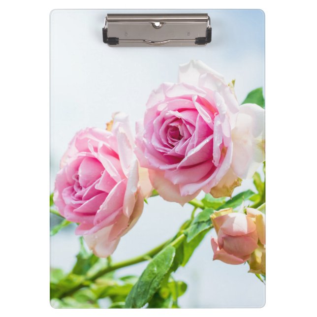 Carpeta De Pinza Flores rosa rosadas (Anverso)