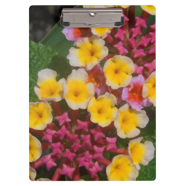 Carpeta De Pinza Flores Tropicales Amarillas Pequeñas Con Cubos Ros (Anverso)