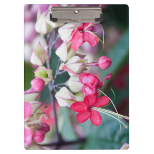 Carpeta De Pinza Flores tropicales rojas y blancas