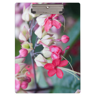 Carpeta De Pinza Flores tropicales rojas y blancas