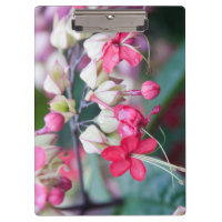 Flores tropicales rojas y blancas