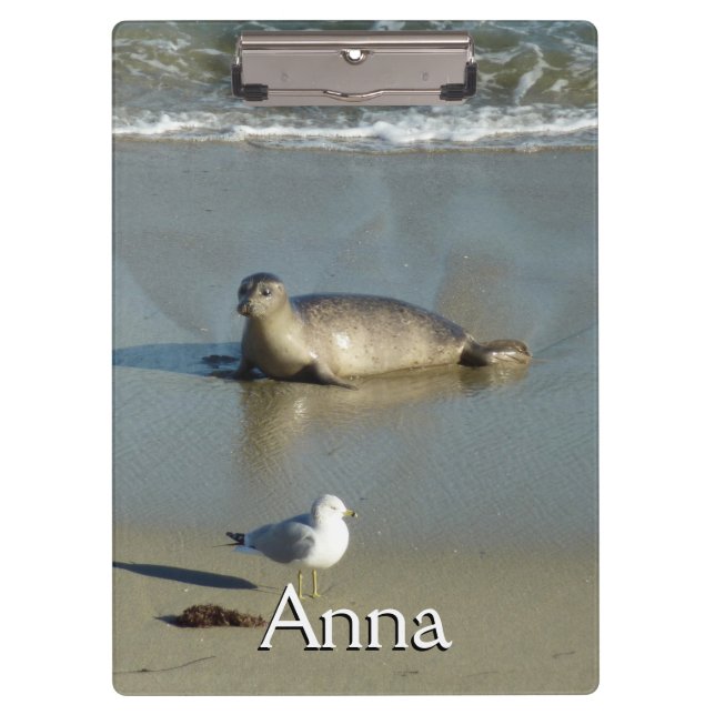 Carpeta De Pinza Foca común en La Jolla California (Anverso)
