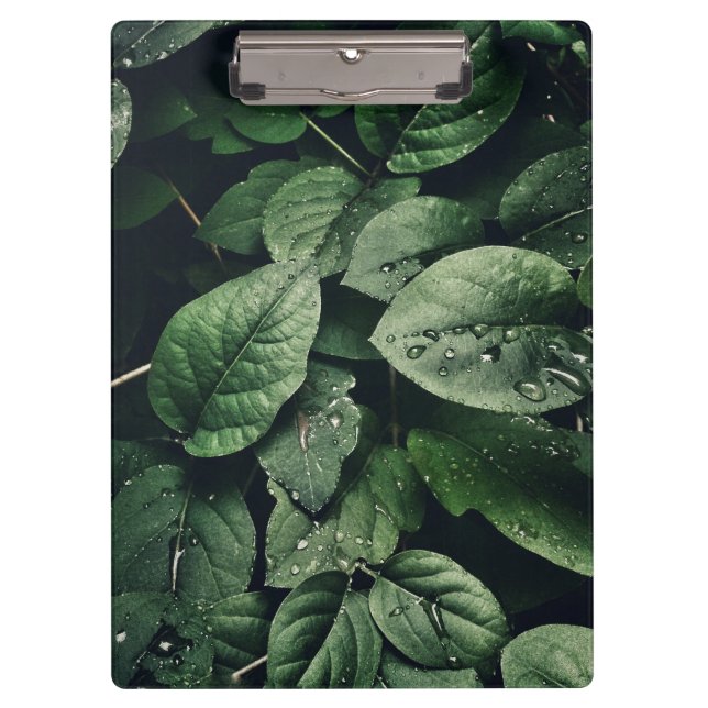 Carpeta De Pinza Foliage de la hoja verde profunda (Anverso)