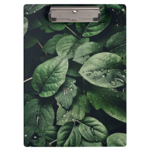 Carpeta De Pinza Folito de hoja verde profunda