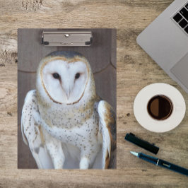 Carpeta De Pinza Foto de Barn Owl Raptor