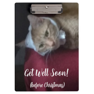 Carpeta De Pinza Foto de gato ginger para recuperarse pronto ,