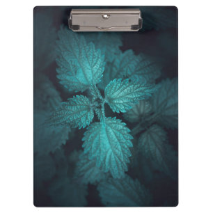 Carpeta De Pinza Foto de la naturaleza de la ortiga candente