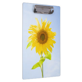 Carpeta De Pinza Foto de la naturaleza del girasol