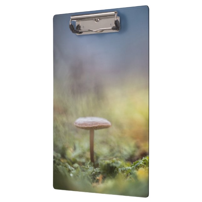 Carpeta De Pinza Foto de Mushroom Nature (Izquierda)