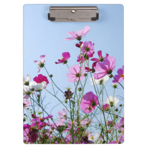 Carpeta De Pinza Foto de pradera de flores rosadas y púrpura