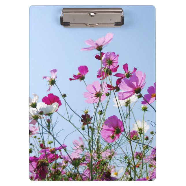 Carpeta De Pinza Foto de pradera de flores rosadas y púrpura (Anverso)