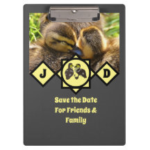 Foto en monograma de adorable Twin Ducklings