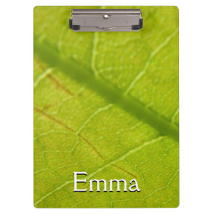Carpeta De Pinza Fotografía de la naturaleza botánica de la hoja ve