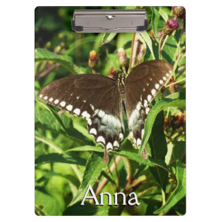 Carpeta De Pinza Fotografía de la naturaleza de la mariposa de cola