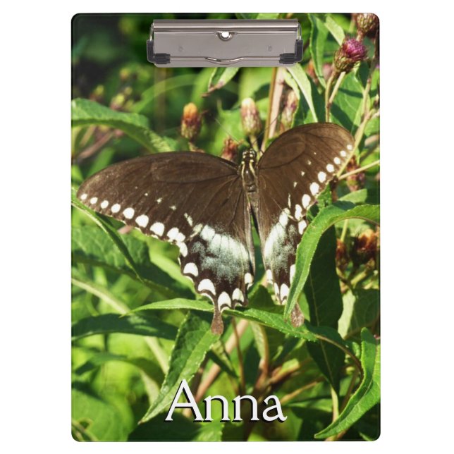 Carpeta De Pinza Fotografía de la naturaleza de la mariposa de cola (Anverso)