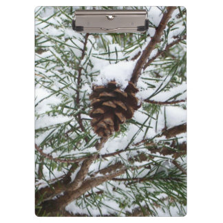 Carpeta De Pinza Fotografía de la naturaleza del invierno de Snowy