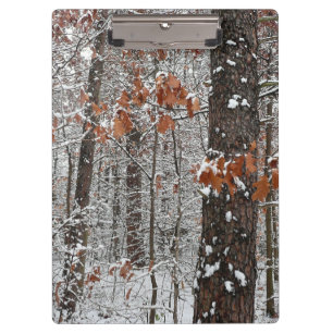 Carpeta De Pinza Fotografía de naturaleza invernal de robles cubier