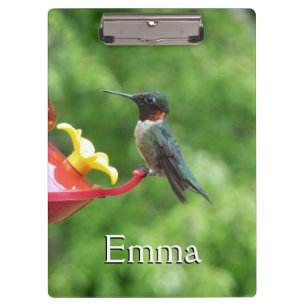 Carpeta De Pinza Fotografía de pájaro húmedo con trompetas de rubí