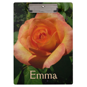 Carpeta De Pinza Fotografía de Peach Rosa Naranja Floral