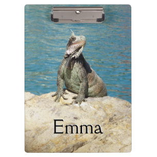 Carpeta De Pinza Fotografía de vida salvaje tropical de Iguana en S