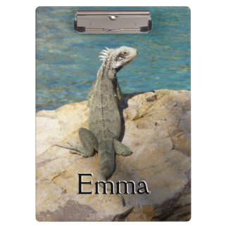 Carpeta De Pinza Fotografía de vida salvaje tropical de Iguana en S