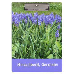Carpeta De Pinza Fotografía de Violet Bluebells - Herschberg, Alema