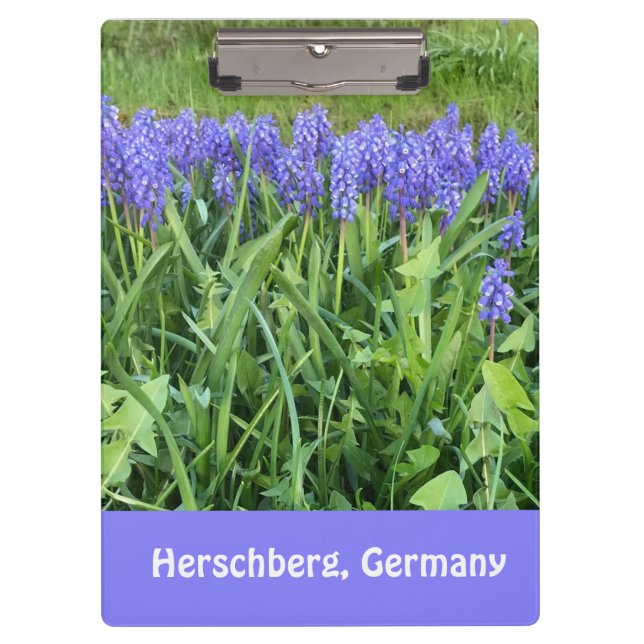 Carpeta De Pinza Fotografía de Violet Bluebells - Herschberg, Alema (Anverso)