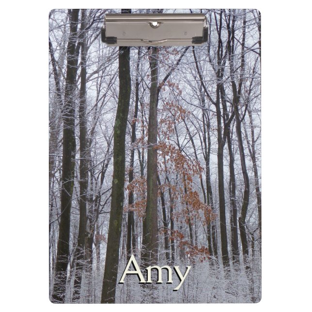 Carpeta De Pinza Fotografía del paisaje invernal de la nieve desech (Anverso)