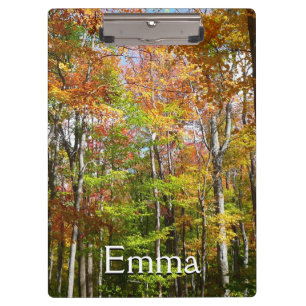 Carpeta De Pinza Fotografía del paisaje otoñal del bosque otoñal II