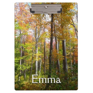 Carpeta De Pinza Fotografía paisajística de otoño en el bosque otoñ