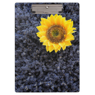 Carpeta De Pinza Francia, Provenza-Alpes-Costa Azul