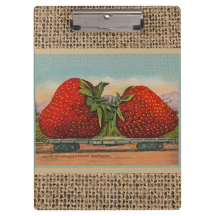 Carpeta De Pinza Fresas Gigante Antiguo Fruta Diversión
