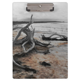 Carpeta De Pinza Fuerzas Naturales del Lago Tyrrell