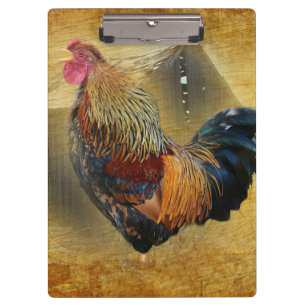 Carpeta De Pinza Gallo Hermoso y Gallinero Rústico de Granja