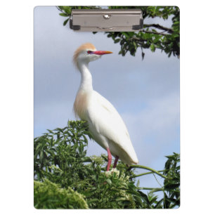 Carpeta De Pinza Ganado bovino - Serie Wading Bird - Placa Clip