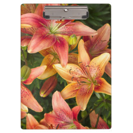 Carpeta De Pinza Garden Lilies