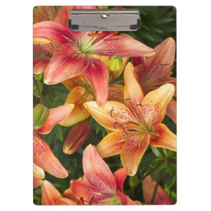 Carpeta De Pinza Garden Lilies