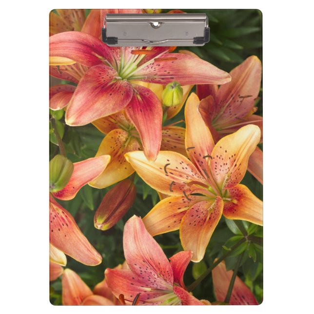 Carpeta De Pinza Garden Lilies (Anverso)