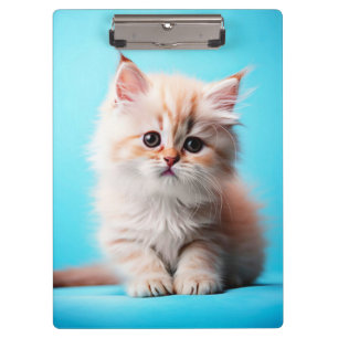 Carpeta De Pinza Gatito Blanco Adorable Potrait-54971