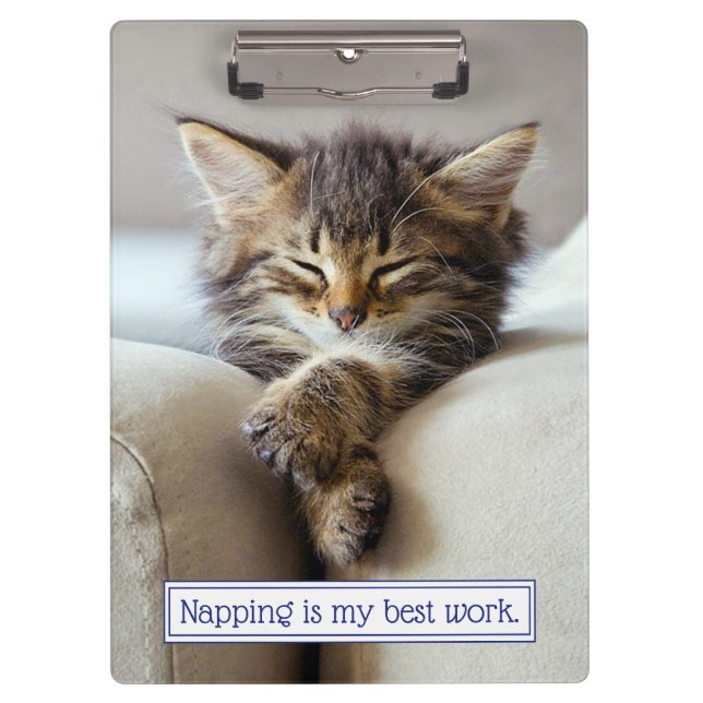 Carpeta De Pinza Gatito dormido (Anverso)