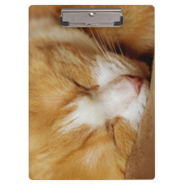 Carpeta De Pinza Gatito durmiente
