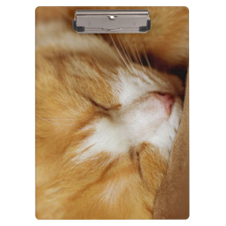 Carpeta De Pinza Gatito durmiente