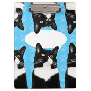 Carpeta De Pinza Gatito lindo triple