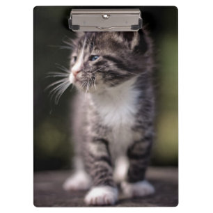 Carpeta De Pinza Gatito que se coloca alto