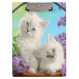 Carpeta De Pinza Gatitos/Portapapeles