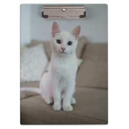 Carpeta De Pinza Gato blanco | Zazzle_Growshop.