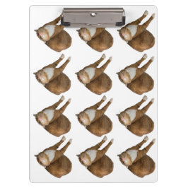 Carpeta De Pinza Gato de Sol Boca Abajo