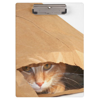 Carpeta De Pinza Gato de tabby anaranjado en bolsa de papel