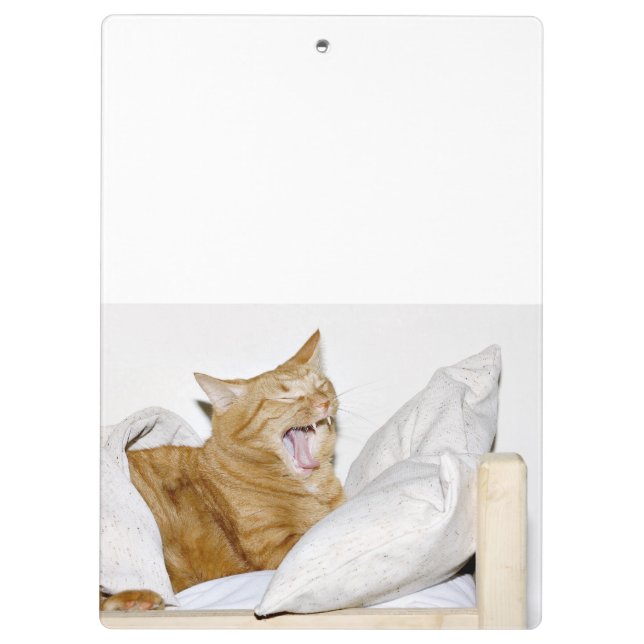 Carpeta De Pinza Gato de tabby anaranjado soñoliento (Reverso)